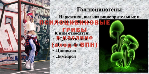 ешки Балахна