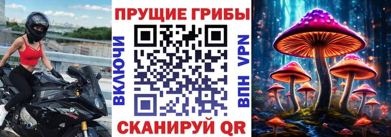 цена   Пойковский  Псилоцибиновые грибы мицелий 